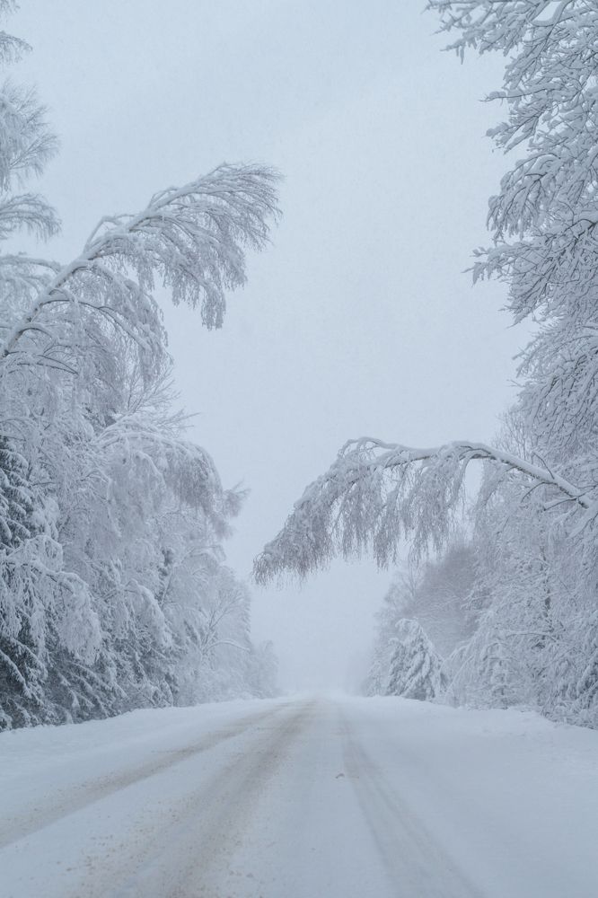 Photograph by Алиса Маркина