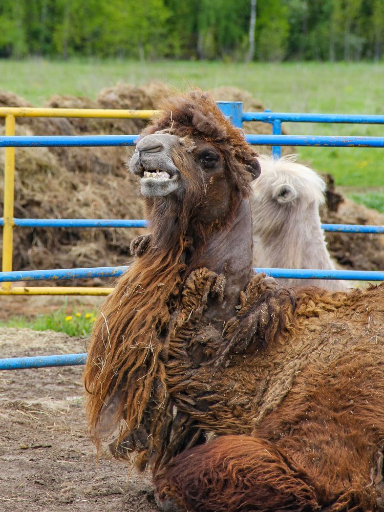 Photograph by Алиса Маркина