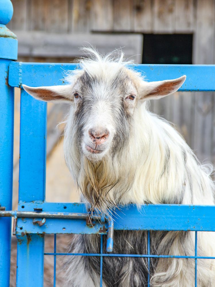 Photograph by Алиса Маркина