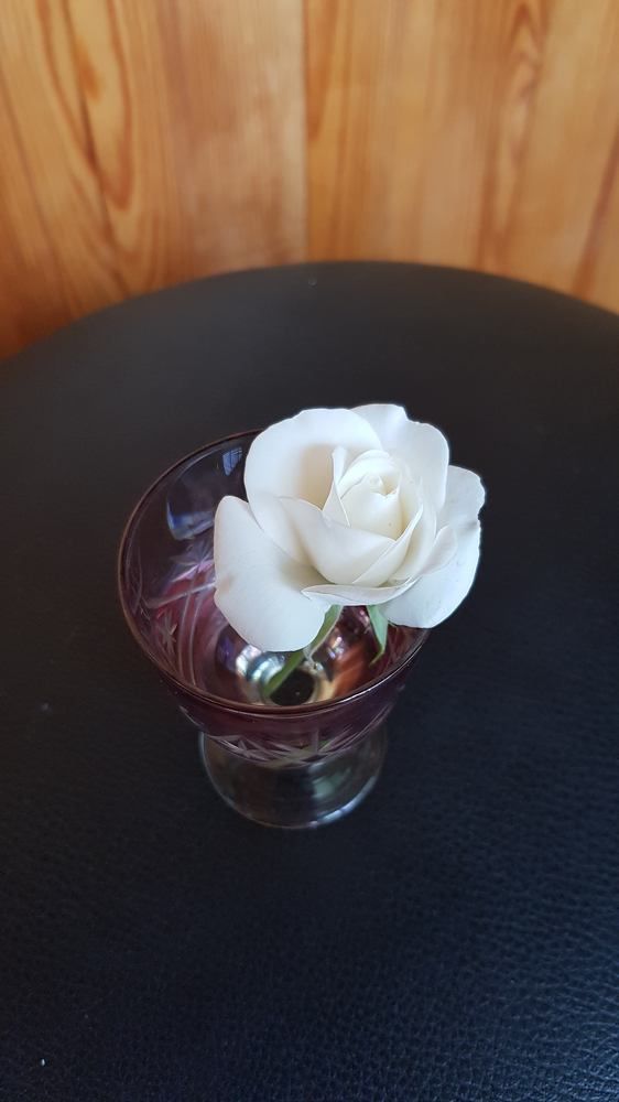 Фотография автора Дана Богинская