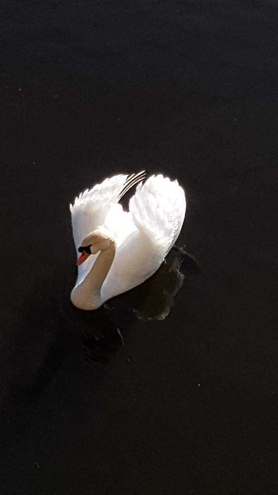 Фотография автора Дана Богинская