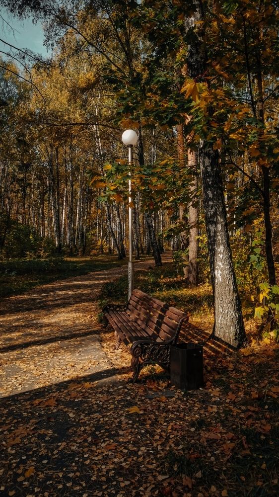 Photograph by Галина Банникова