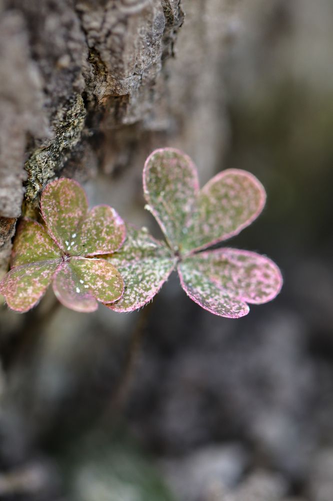 Photograph by Оксана Сафина