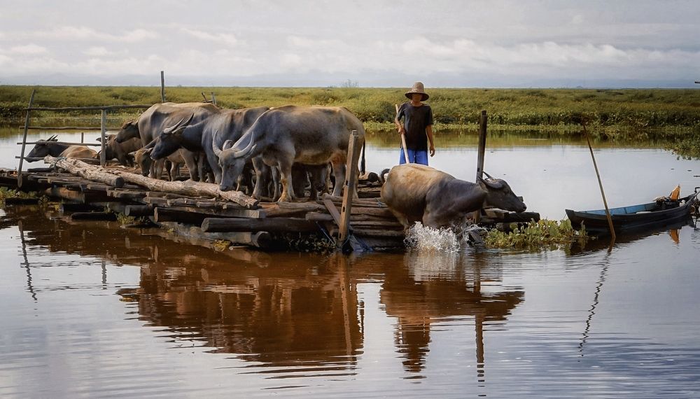 Photograph by Henri Fitriadi