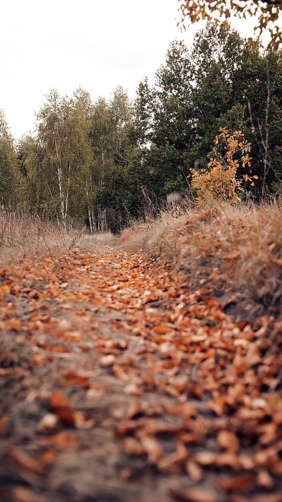 Photograph by Ольга Кузина