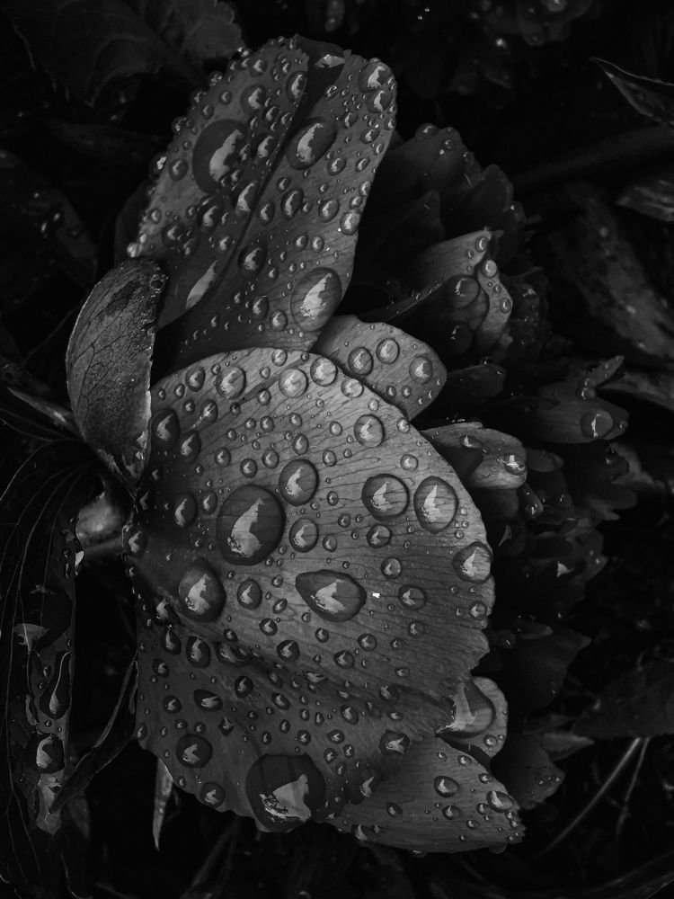 Photograph by Алиса Маркина