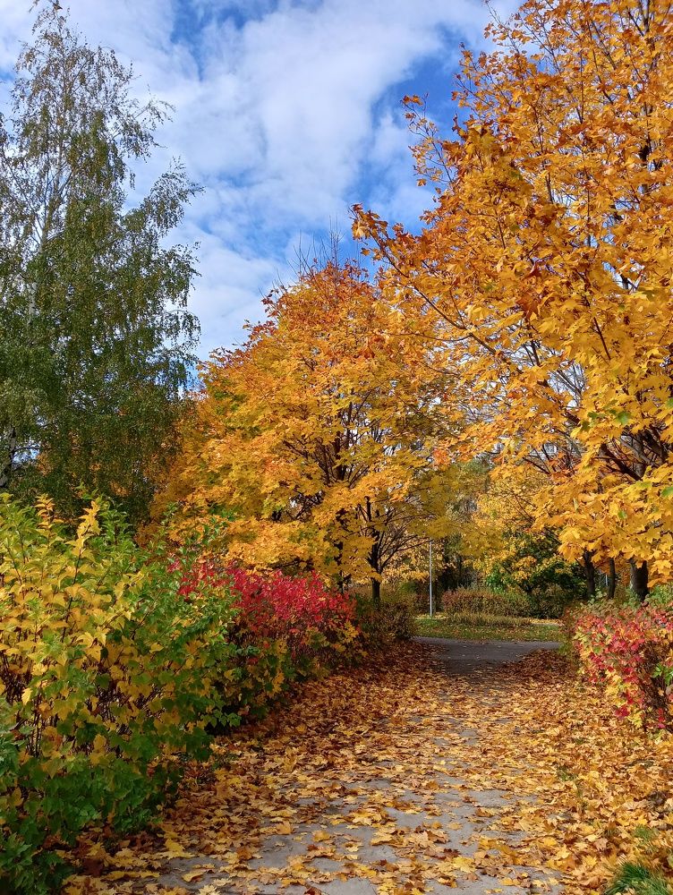 Photograph by Ольга Кузина