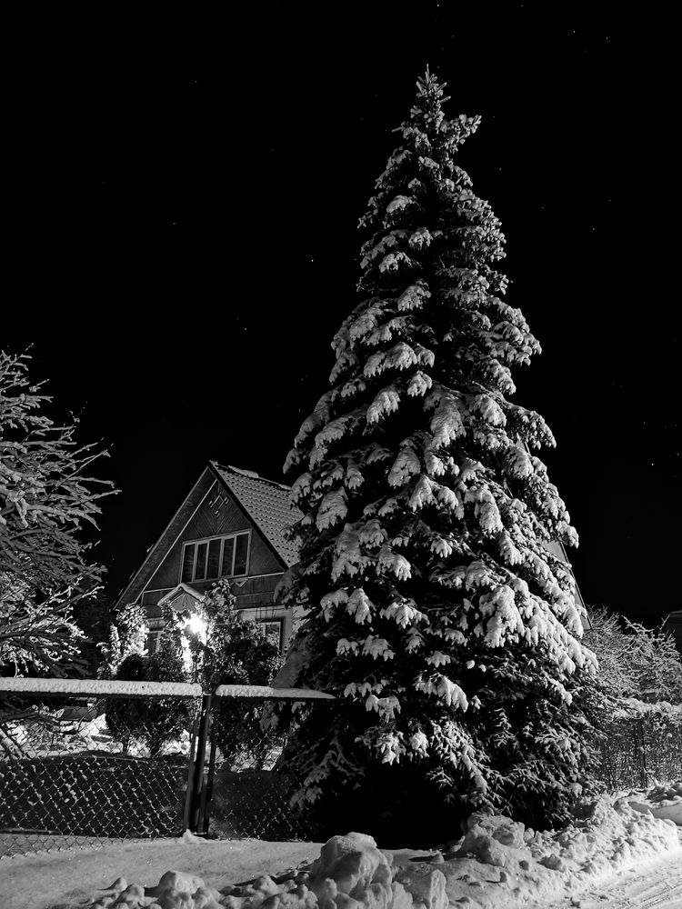 Photograph by Алиса Маркина