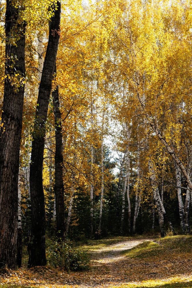 Photograph by Светлана Козлова