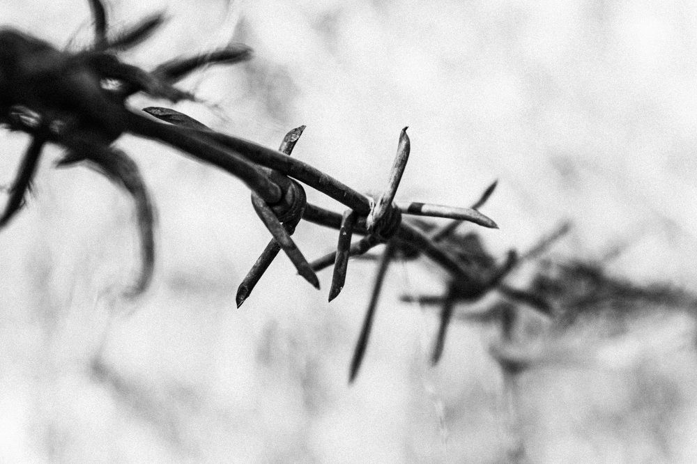 Photograph by Сергей Костиков