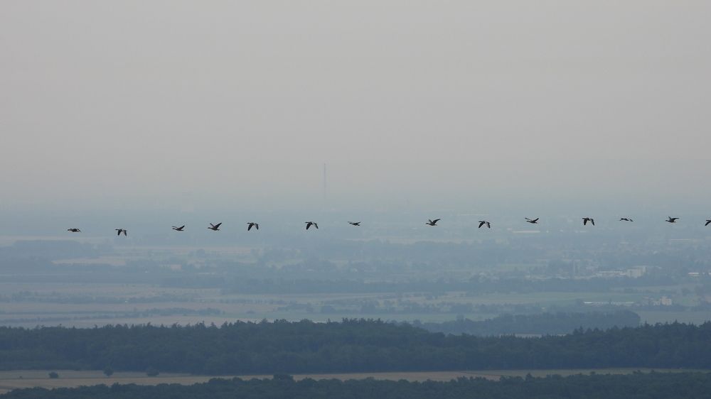 Photograph by Lumir Zemla