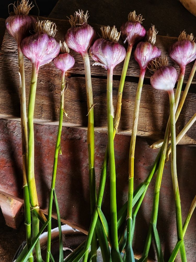 Photograph by Елена Ямнюк