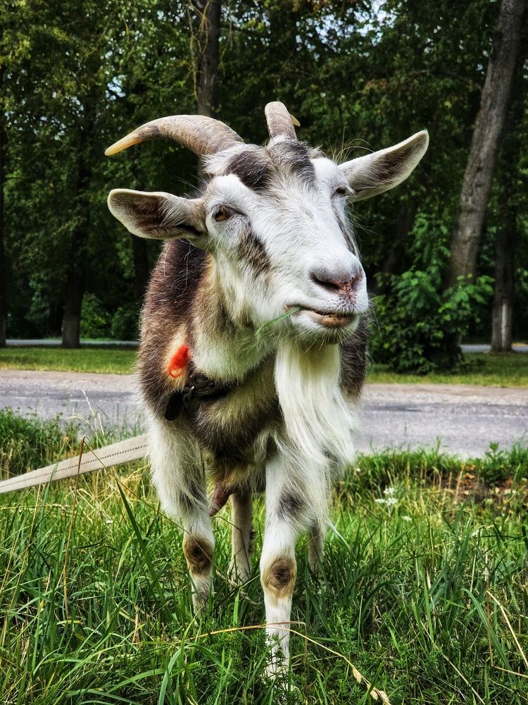 Photograph by Елена Ямнюк