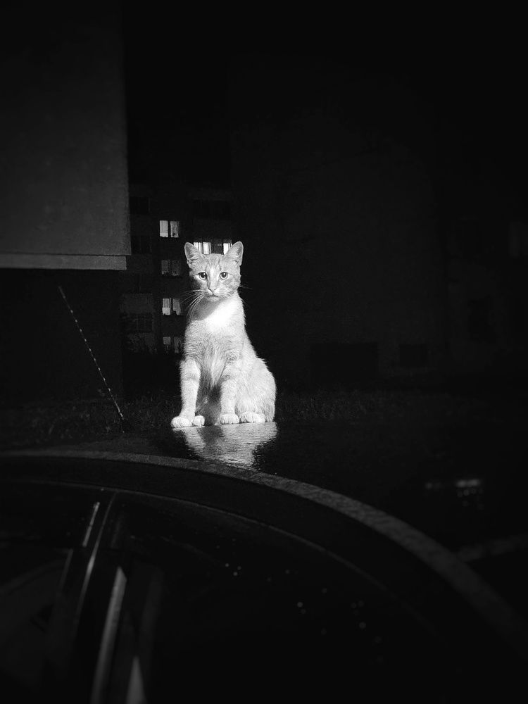 Photograph by Елена Ямнюк