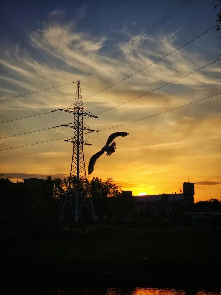 Фотография автора Елена Ямнюк