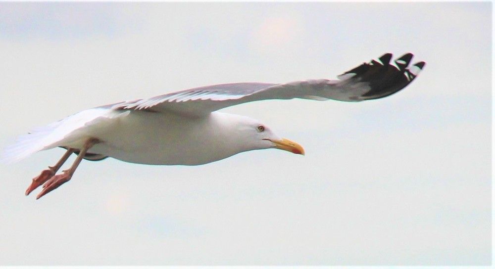 Обнимая небо.