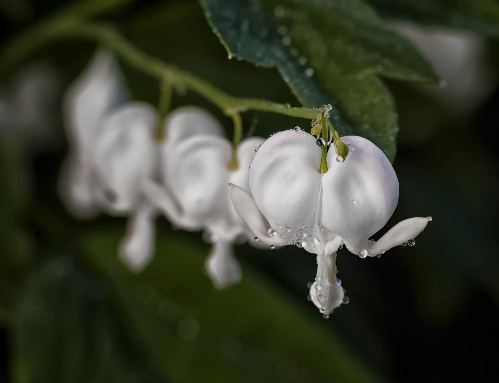 Photograph by Владимир Архипов