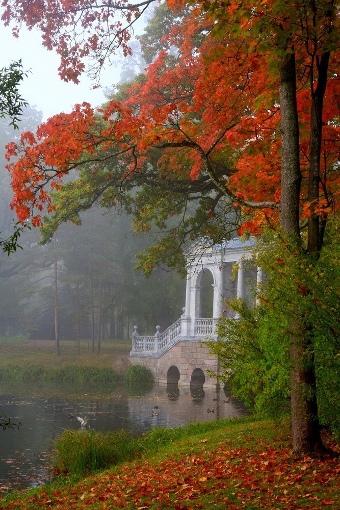 Photograph by Mikhail Novikov