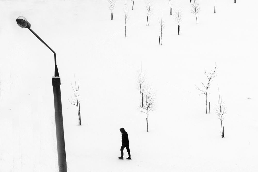 Фотография автора Алена