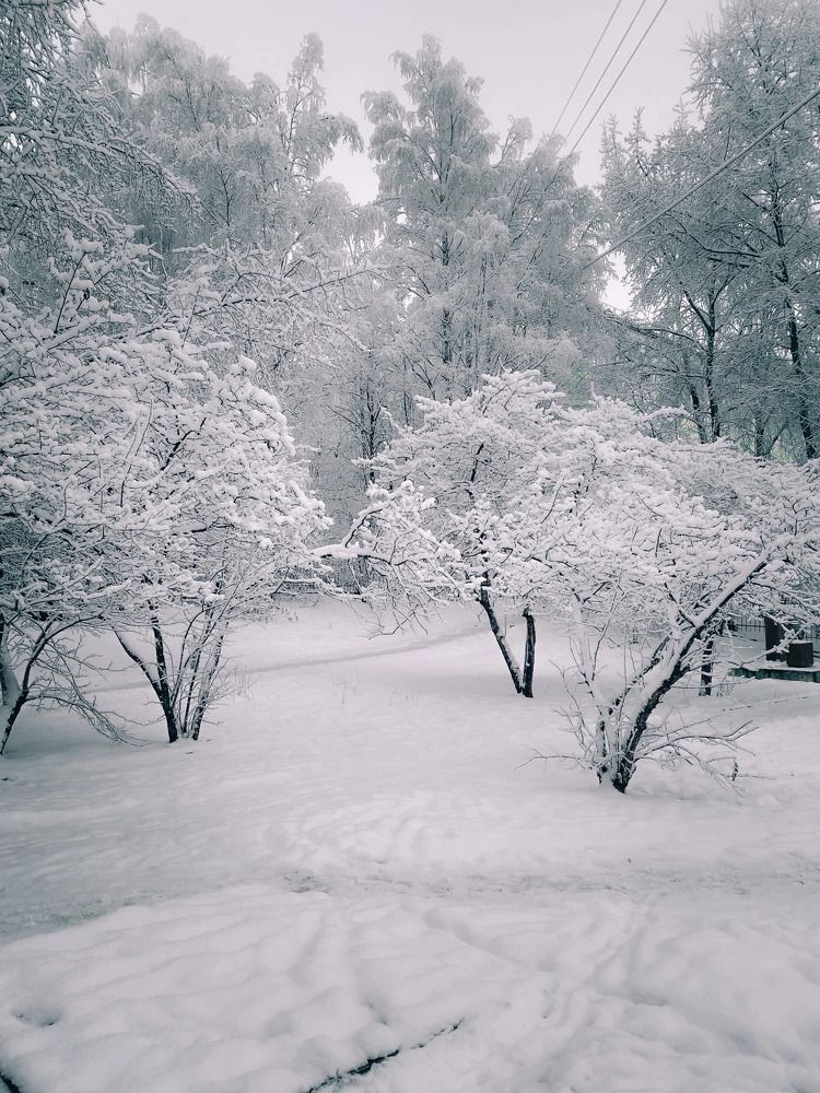 Photograph by Anna Chub