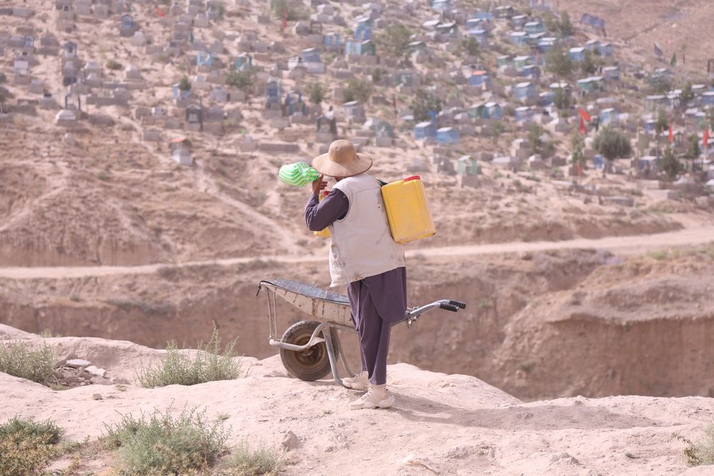 Photograph by Behzad Hamid