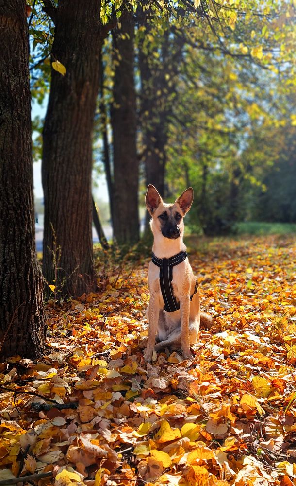 Photograph by Просолович Наталия Евгеньевна