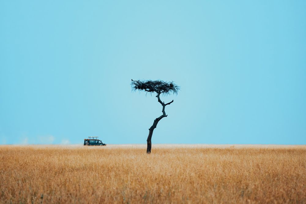 Photograph by Adrian Grigore