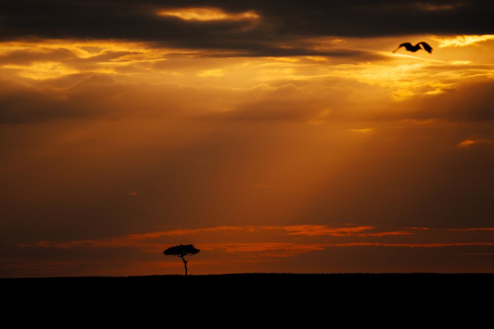 Photograph by Adrian Grigore