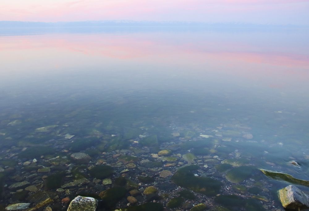 Photograph by Галина Ильясова