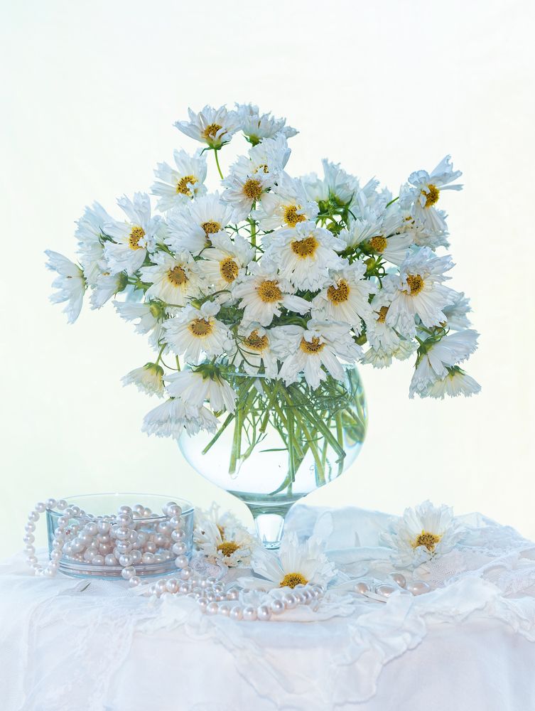 Photograph by NADEZHDA PELYMSKAIA