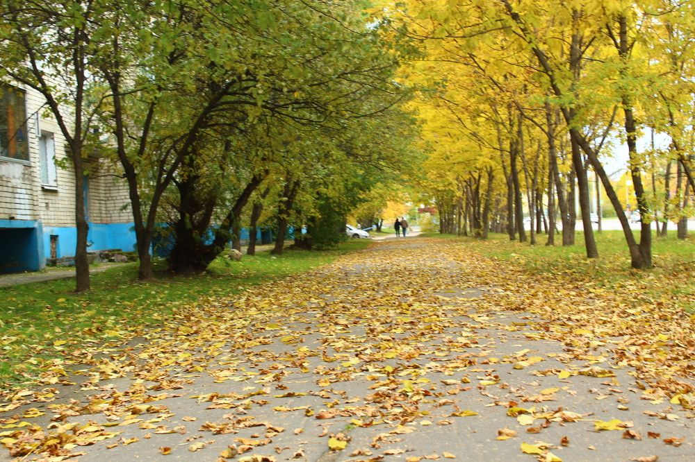 Photograph by Иван Крылов