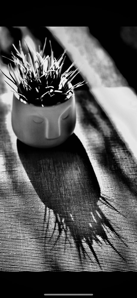 Photograph by Светлана Марусева