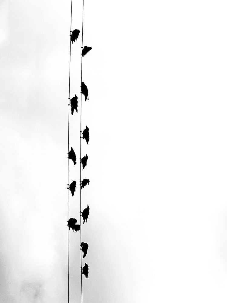 Фотография автора Екатерина Круглик