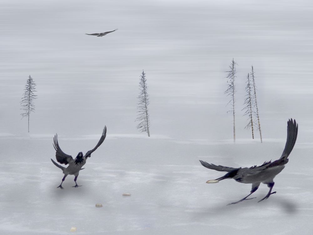 Photograph by T. Bondarenko