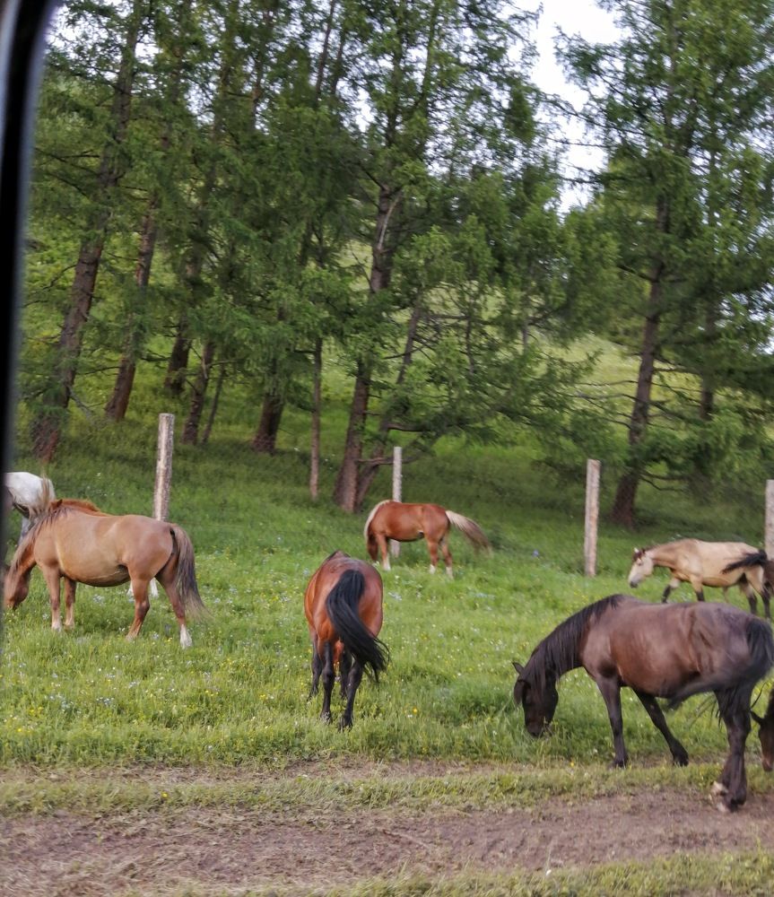 Photograph by Татьяна Ненюхина