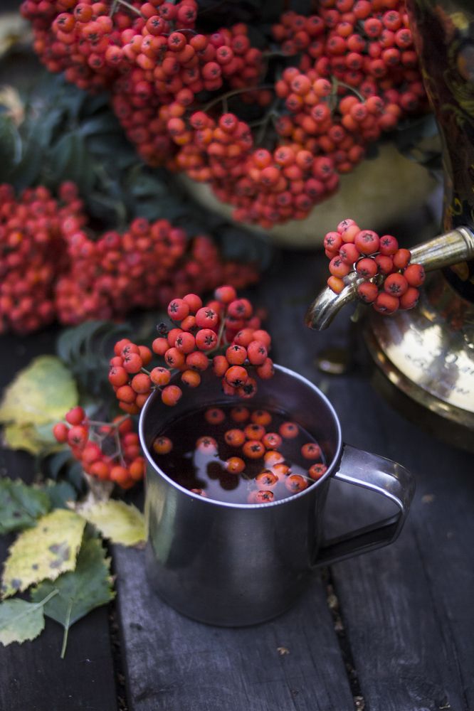 Photograph by Татьяна Шахматова