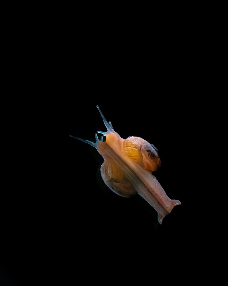 Photograph by Siddhartha Roy Choudhury