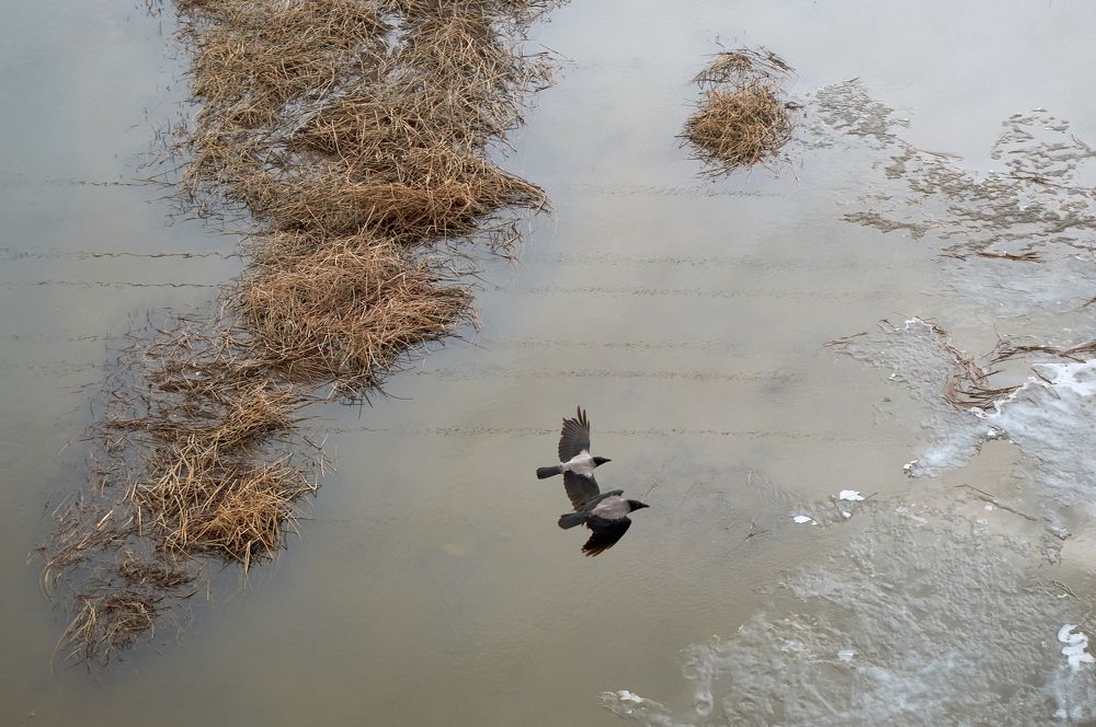 Photograph by Маргарита Гасец