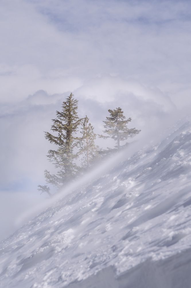 Photograph by Natalia