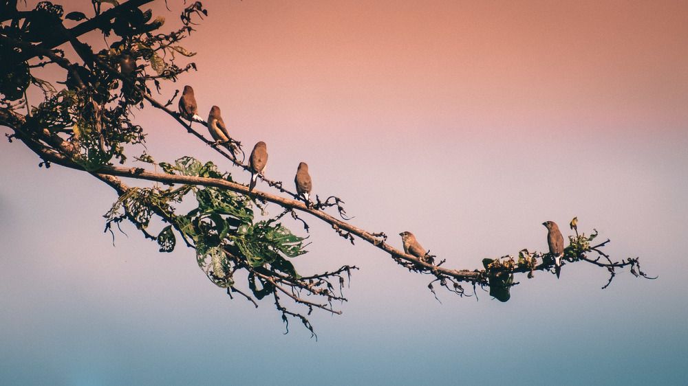 Just having a little discussion