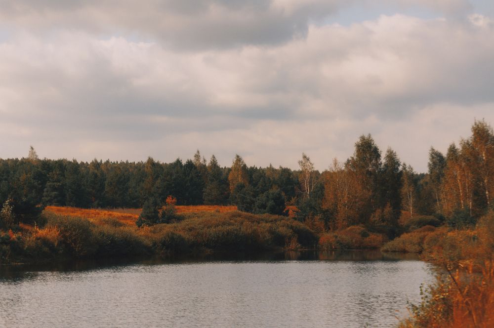 Photograph by Ольга Глущенко