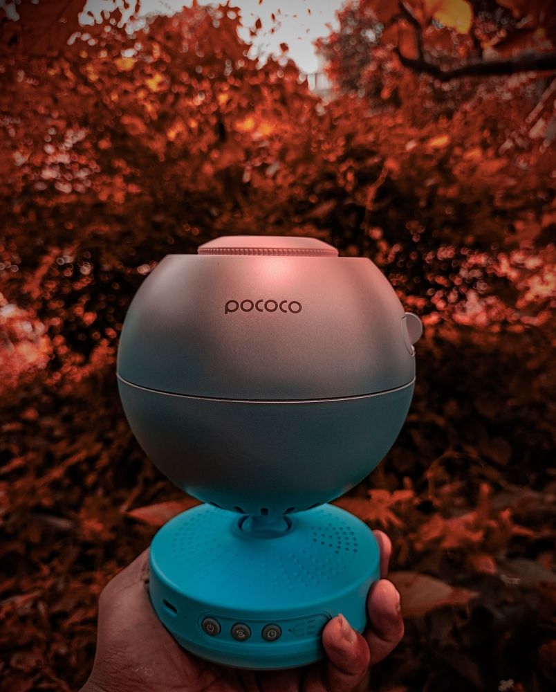 Photograph by Souvik Bhattacharyya