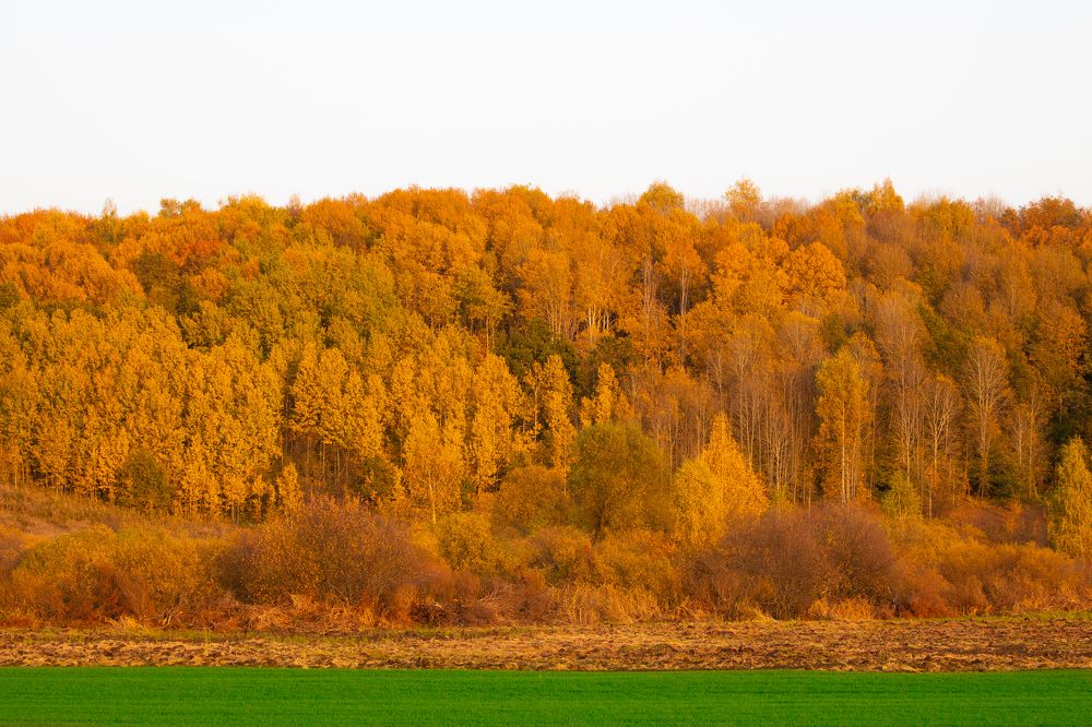 Photograph by Ivan Bazhenov