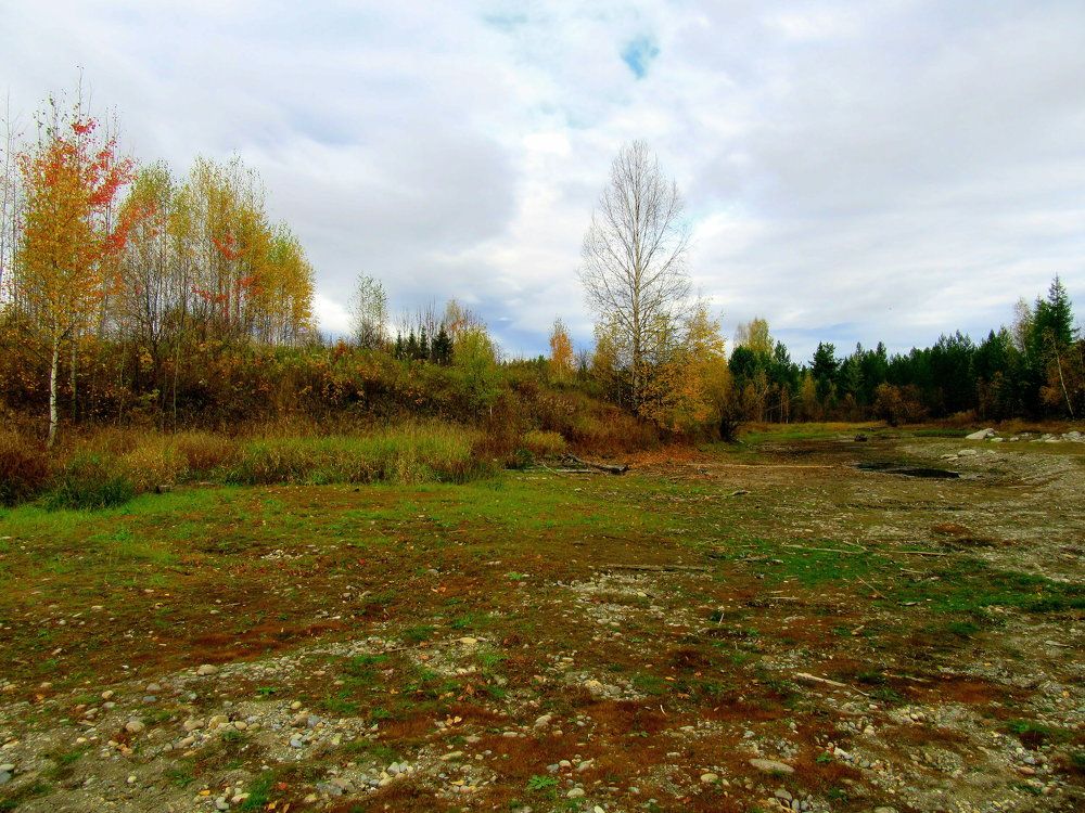 Photograph by Ирина Осипова