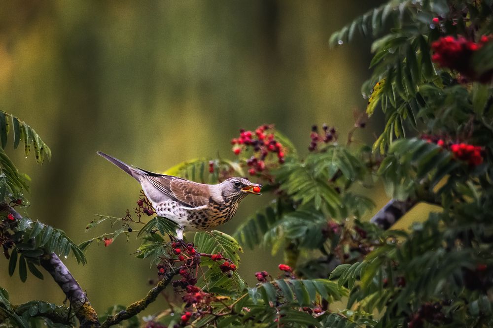 Photograph by Dace Spalvina