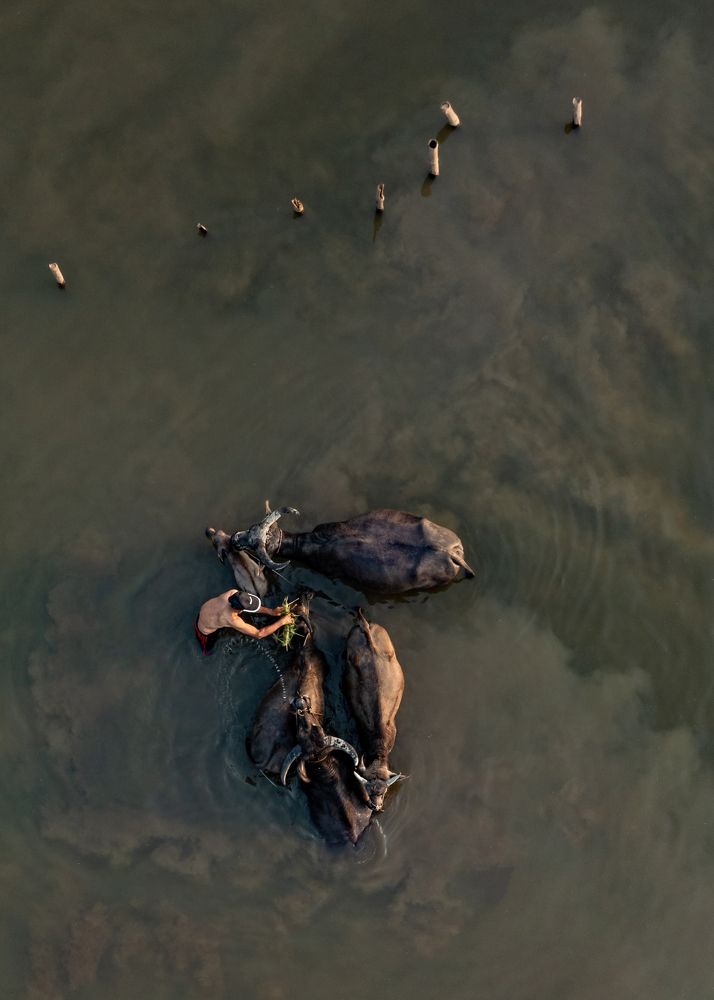 Photograph by Minh Tho Phan