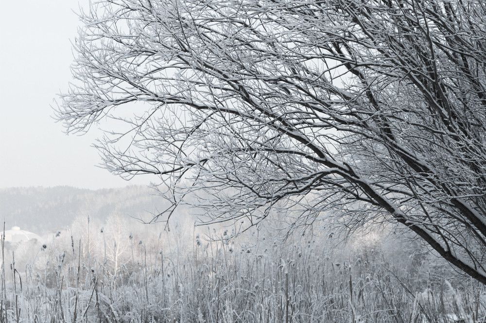 Фотография автора Галина Аверьянова
