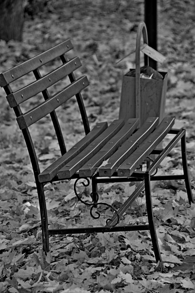 Photograph by Андрей Жуков