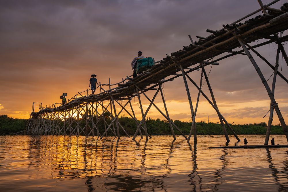 Фотография автора Minh Tho Phan