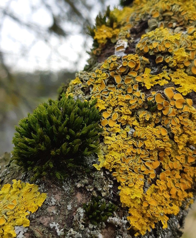 Фотография автора Ирина Лукьянчик